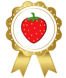 Strawberry Picking Trays